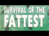 pochette album Lamens terms