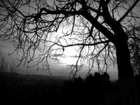 pochette album Salvation