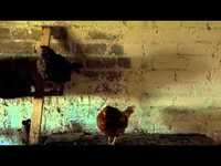 pochette album Only our skin