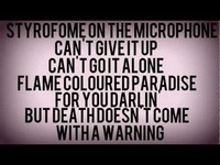 pochette album Velvet crowbar