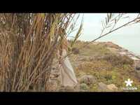 pochette album Good things never die