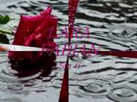 pochette album Sin ti