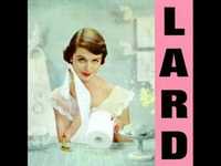 pochette album Faith hope and treachery