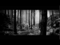 pochette album Wishes