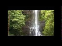 pochette album Walk alone