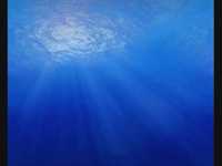 pochette album The viking