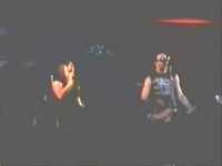 pochette album Social butterfly