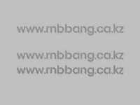 pochette album Leaf in the wind