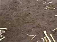 pochette album Cast a hook in me