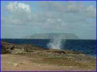 pochette album Belle-ile-en-mer marie-galante