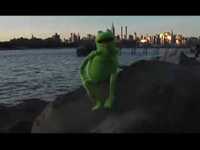 pochette album New york i love you but you're bringing me down