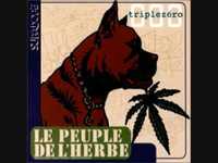 pochette album Judge not