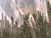 pochette album I move around