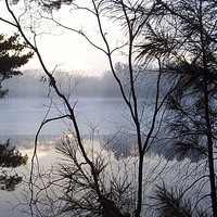 pochette album Roll river roll