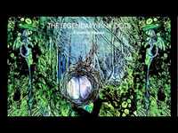 pochette album Nine shades to the circle