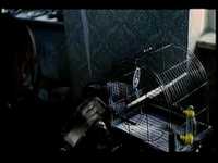 pochette album Clarisse