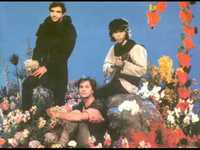 pochette album Um dia perfeito