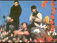 pochette album Vinte e nove