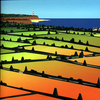 pochette album Nice weather for ducks