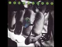 pochette album (the) door