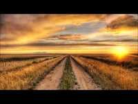 pochette album The wolf