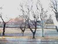 pochette album Masters of war