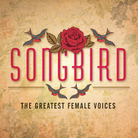 pochette album Trouble (acoustic)