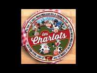 pochette album Chagrin d' labour