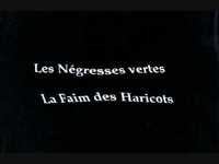 pochette album La faim des haricots