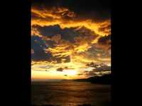 pochette album Cirrhose