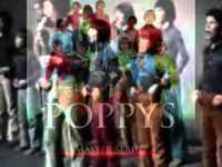 pochette album Non, ne criez pas