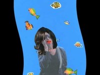 pochette album Modern baleine