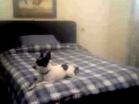 pochette album Set me up