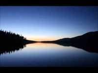 pochette album I will show you mine