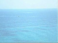 pochette album Abro la ventana