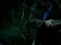 pochette album What became of the likely lads