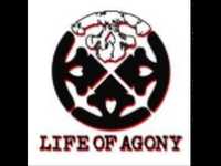 pochette album Calm that disturbs you