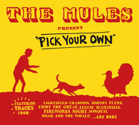 pochette album Galaxy of the lost