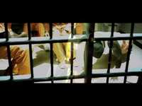 pochette album Better believe it