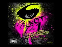 pochette album I'm not the one