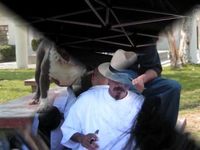 pochette album I'm still riding like that