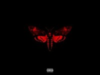 pochette album Days and days