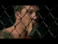 pochette album Warrior