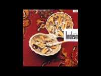 pochette album Marquis