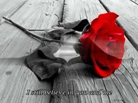 pochette album Still believe