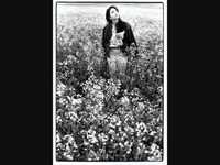 pochette album A beautiful schizophrenic