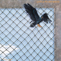 pochette album No more tears