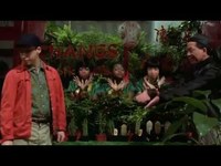 pochette album Da-doo