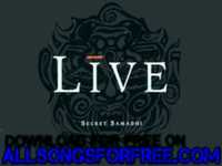 pochette album The beauty of grey