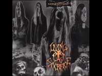 pochette album Chemical straightjacket